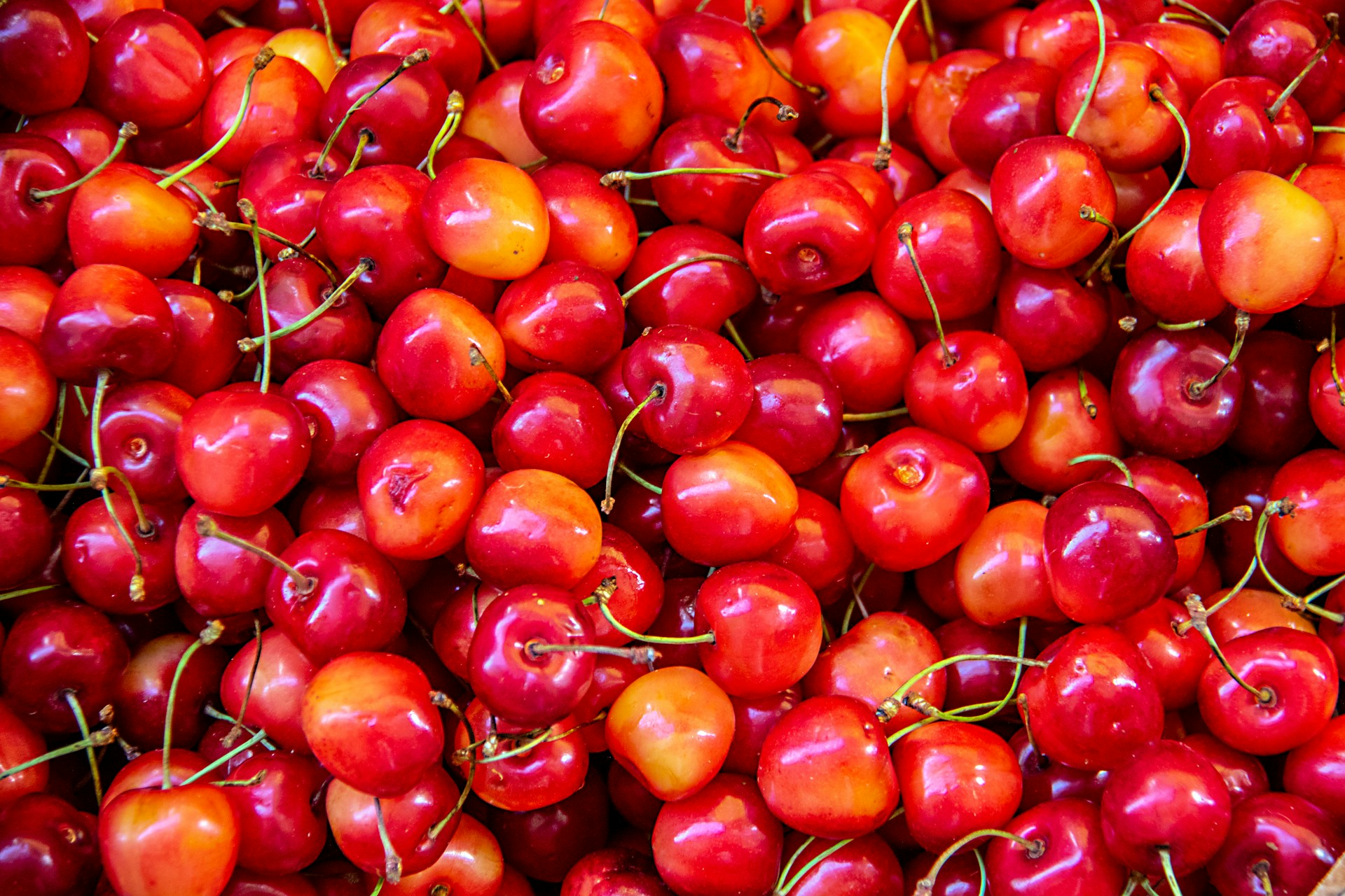 Health Benefits of Cherries