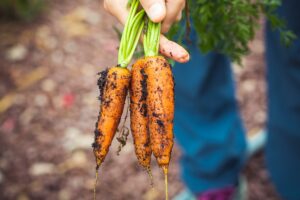 9 Vegetables You Can Buy Once And Regrow Forever!