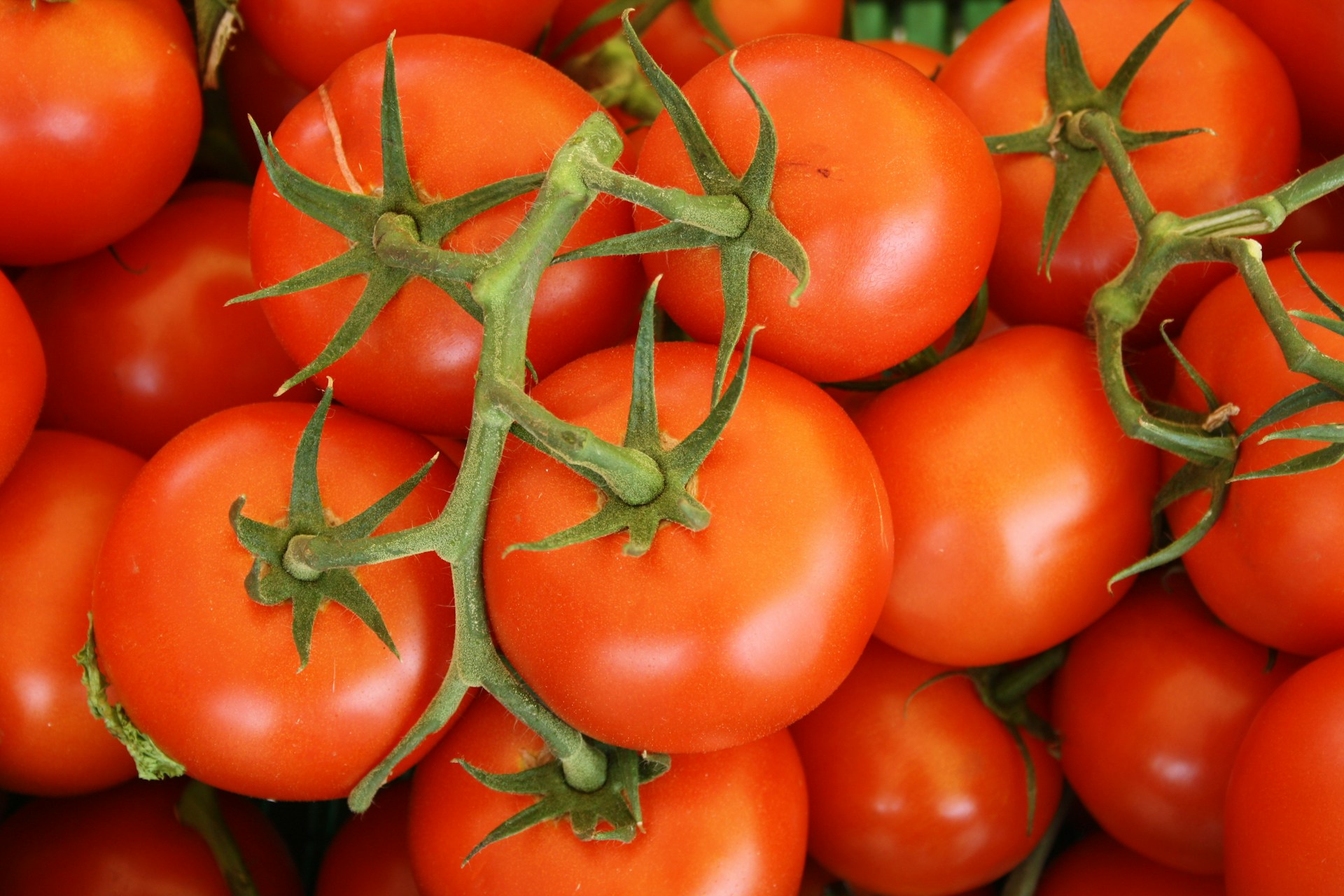 Health Benefits of Tomatoes