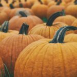 5 Health Benefits of Eating Pumpkin