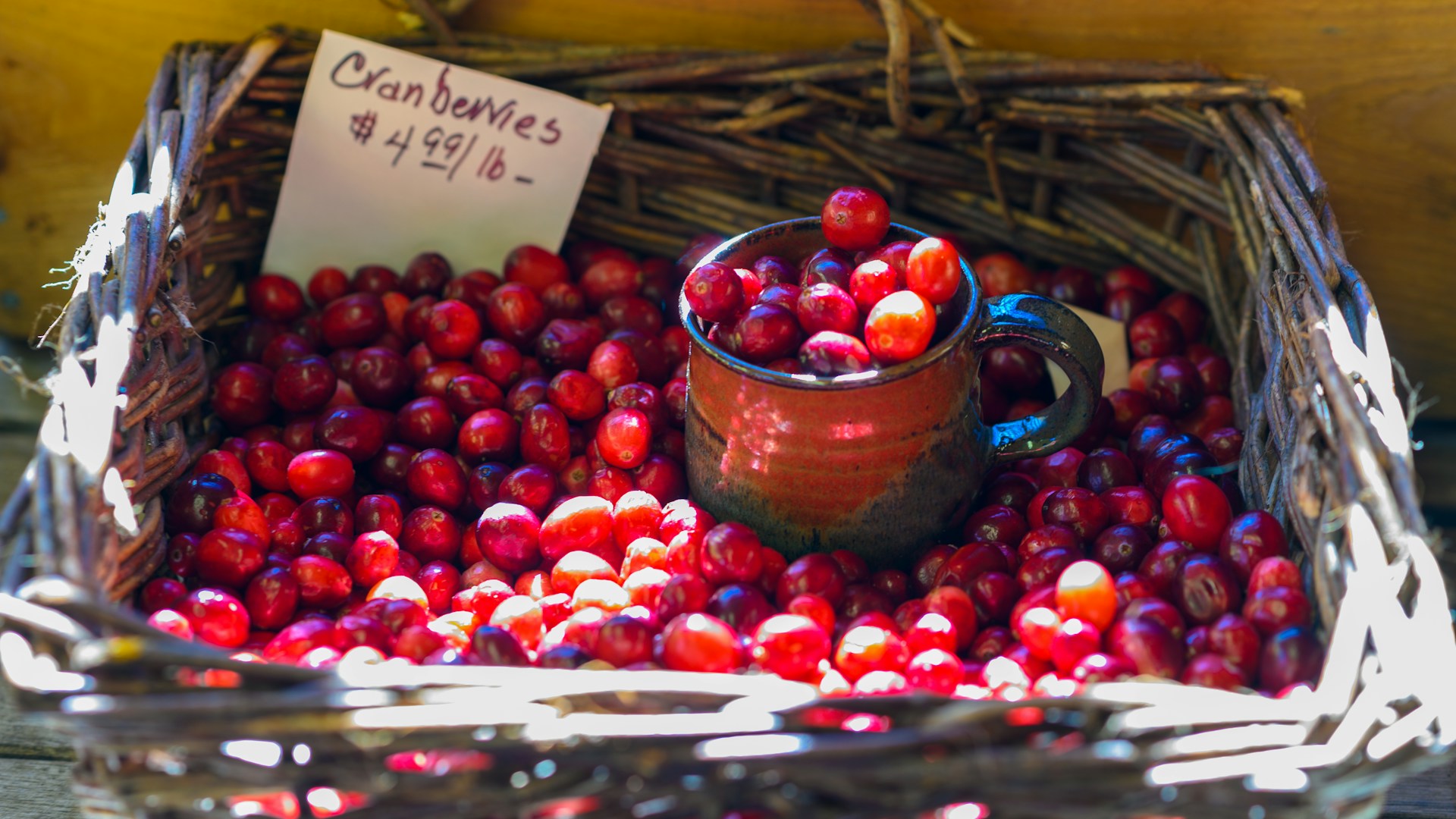 Cranberry – Queen of Antioxidants and Vitamins