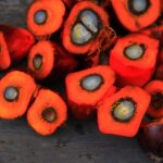 What Are The Side Effects of Palm Oil