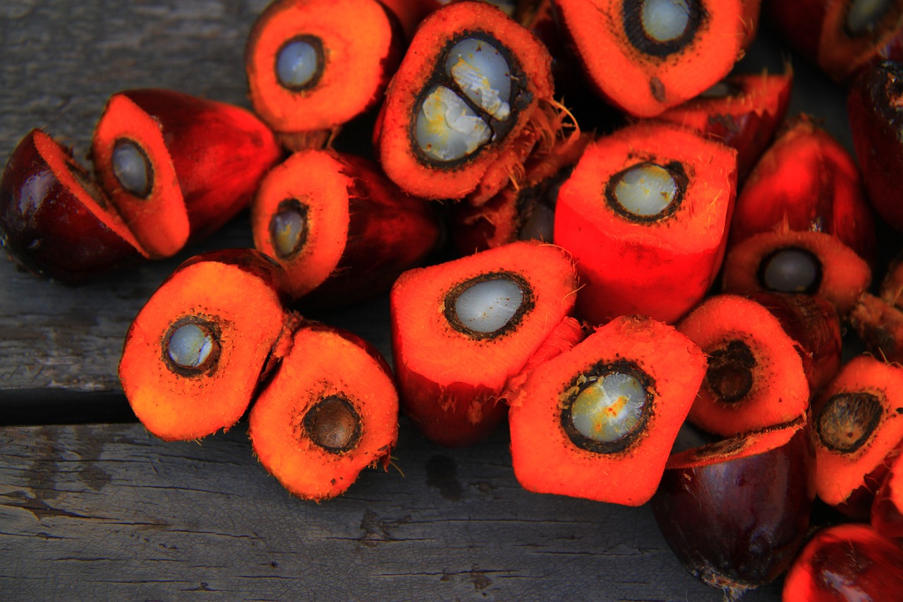 What Are The Side Effects of Palm Oil